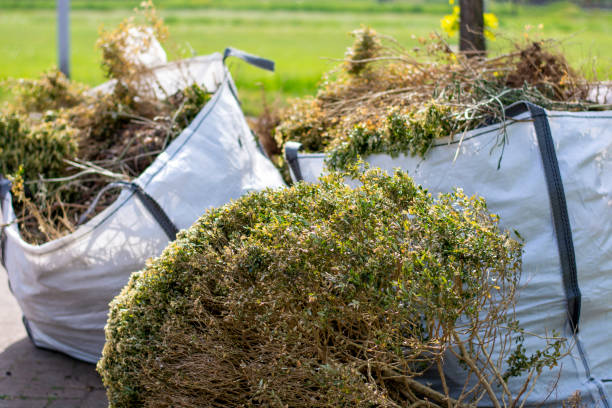Debris Removal in Berry College, GA